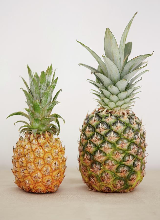 A Large Pineapple And A Baby Pineapple Next To Other Photograph by Hannah Elizabeth
