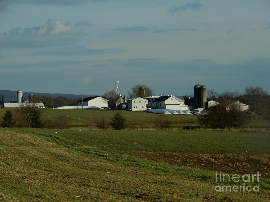 A Late Autumn Day on an Amish Farm Photograph by Christine Clark