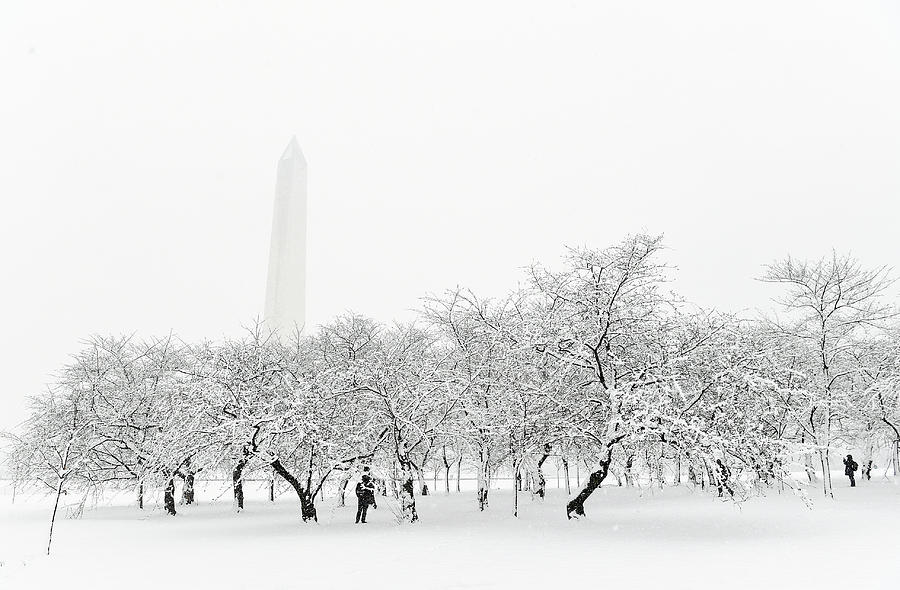 A Late March Snow Storm Hits Photograph by The Washington Post