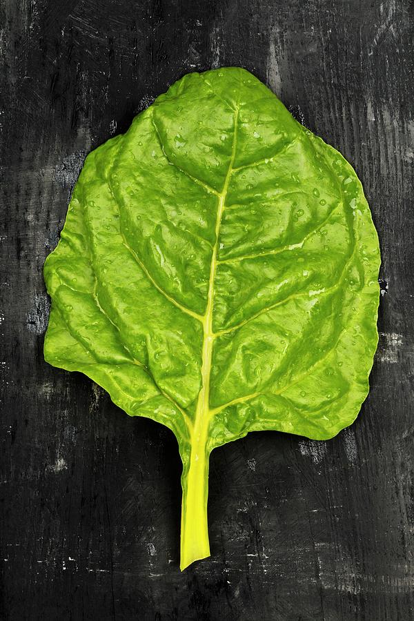 A Leaf Of White Silver Chard On A Dark Surface Photograph by Shawn Hempel