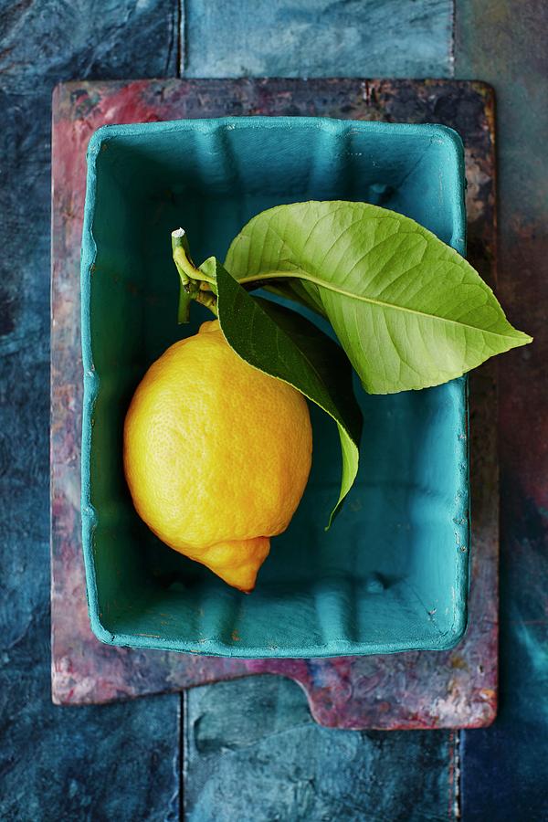 A Lemon With A Leaf In A Turquoise Container Photograph by Stuart Ovenden