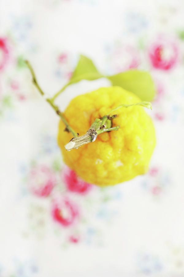 A Lemon With A Stem And Leaves Against An Out-of-focus Floral Tablecloth Photograph by Syl Loves
