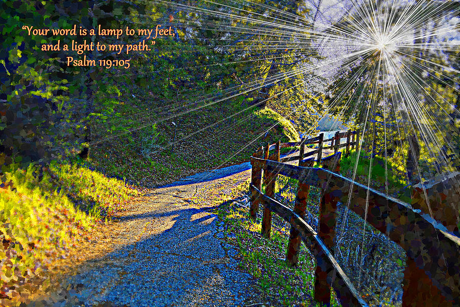 A Light To My Path Photograph by Glenn McCarthy Art and Photography