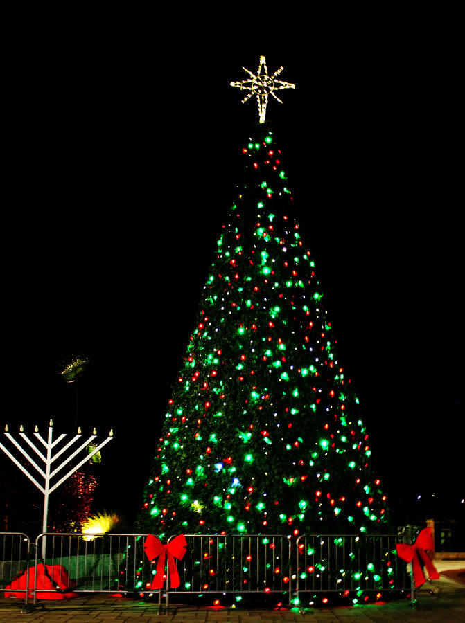 A Lit Christmas Tree Photograph by Cynthia Guinn