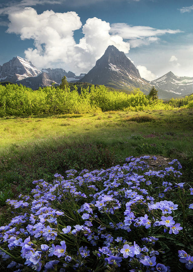 A Little Bit Of Heaven / Many Glacier, Glacier National Park by Nicholas Parker A Little Bit Of Heaven / Many Glacier, Glacier National Park by Nicholas Parker
