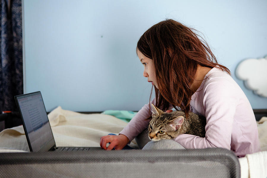 A Little Girl Sits On Bed With Cat In Lap Looking At A Computer ...