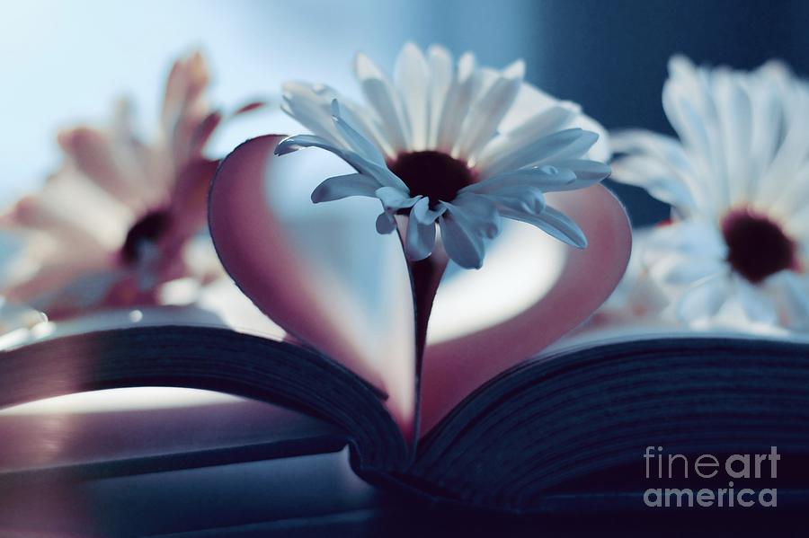 A little Love and light in your heart Photograph by Adrian De Leon Art and Photography