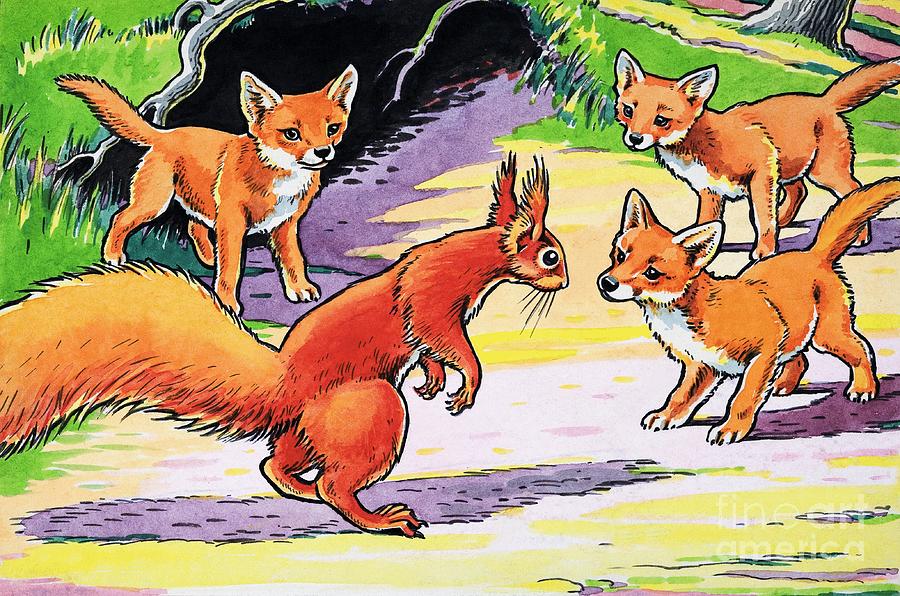 A Little Red Squirrel and baby foxes  Painting by Harry M Pettit