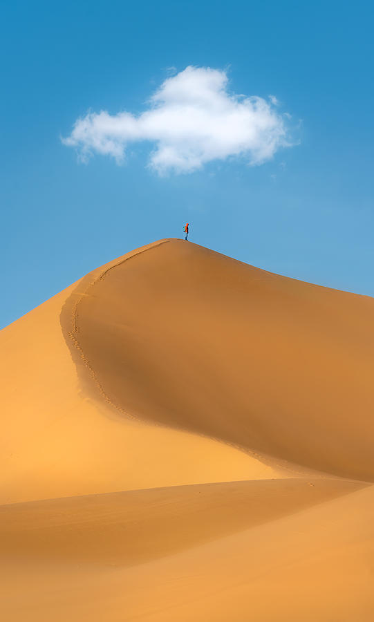 A Lonely Desert Traveler Photograph by Yuan Cui