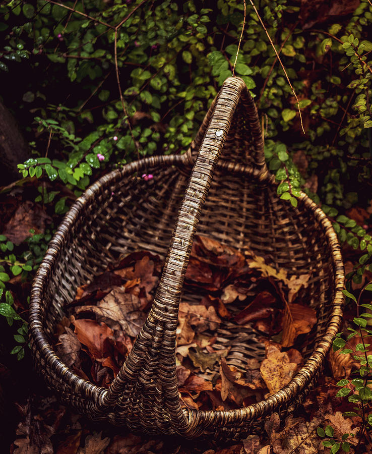 A Long Ago Picnic by Odd Jeppesen A Long Ago Picnic by Odd Jeppesen
