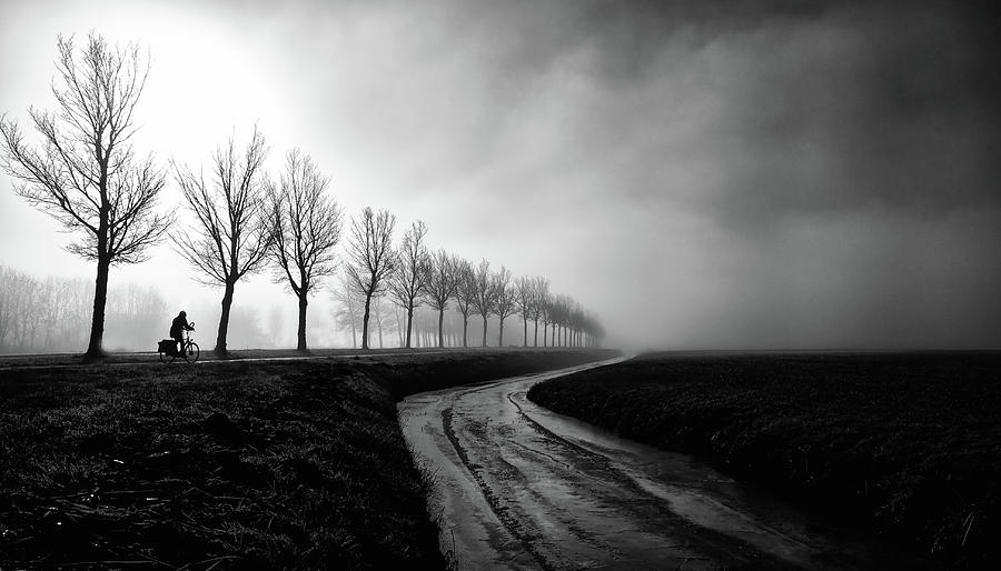 Tree Photograph - A Long Road To Go. by Jacob Tuinenga