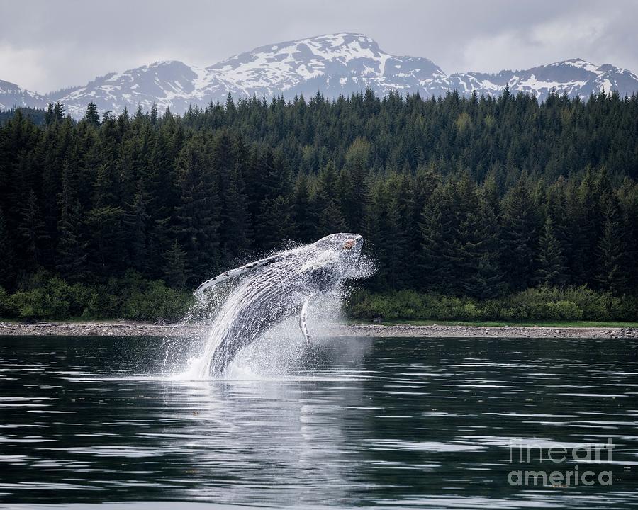 A Look Above by Ian Johnson A Look Above by Ian Johnson