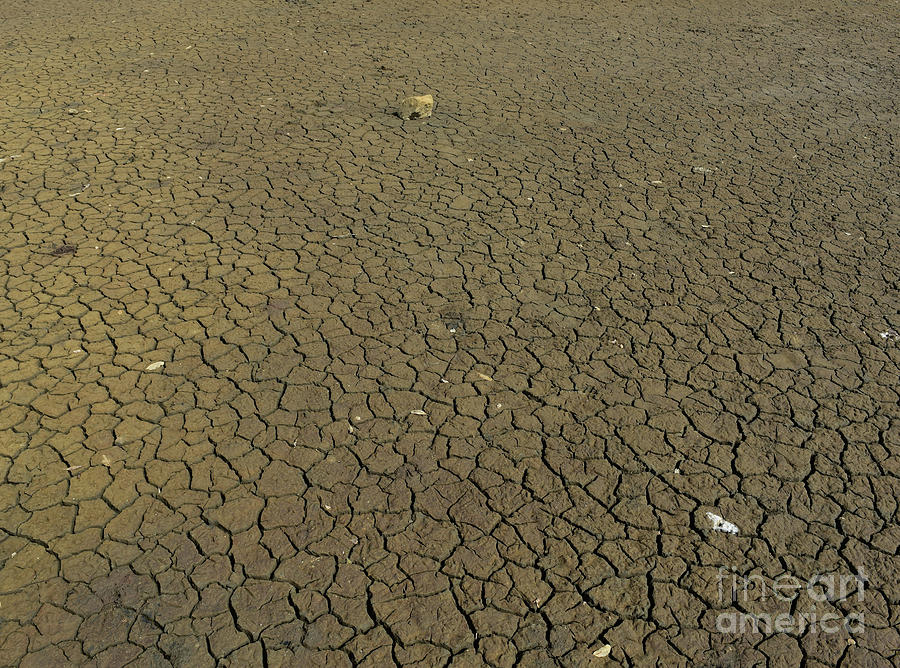 Mud Photograph - A Look at the Dried and Cracked Mud Flats of the Spanish Lagoon by DejaVu Designs