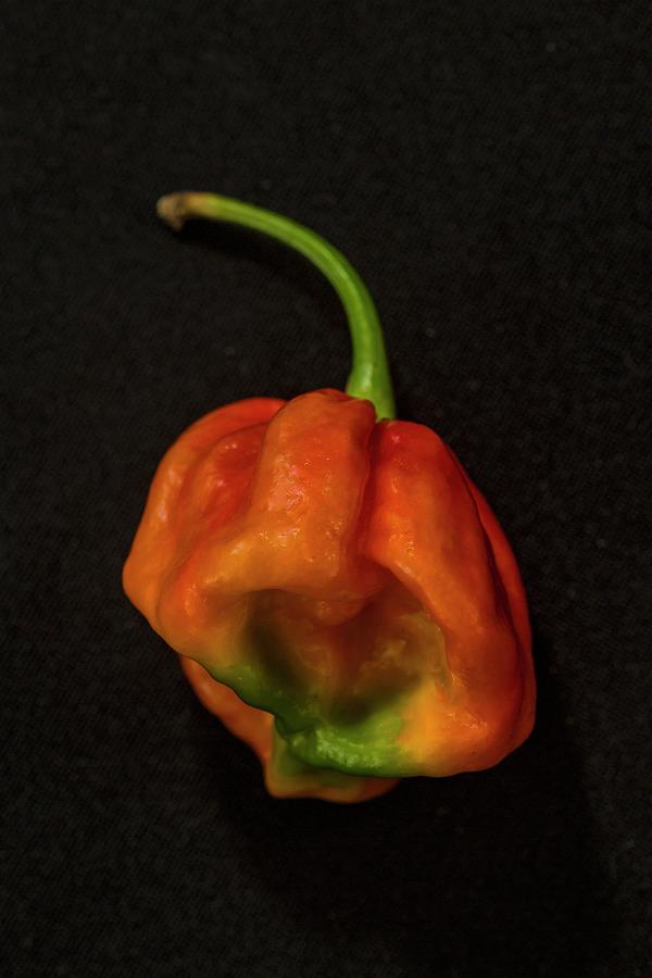A Lucy Chilli Pepper Photograph by Alfonso Calero