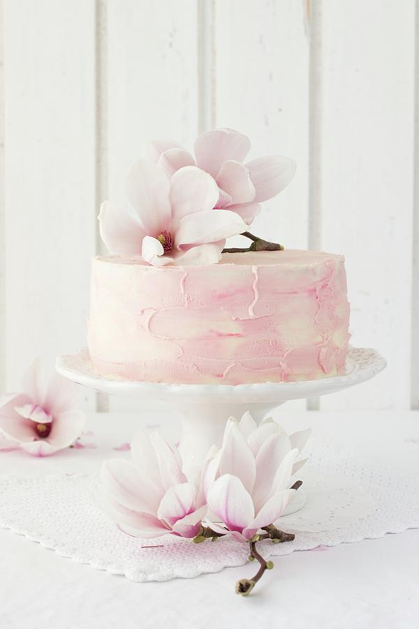 A Magnolia Cake Photograph by Emma Friedrichs