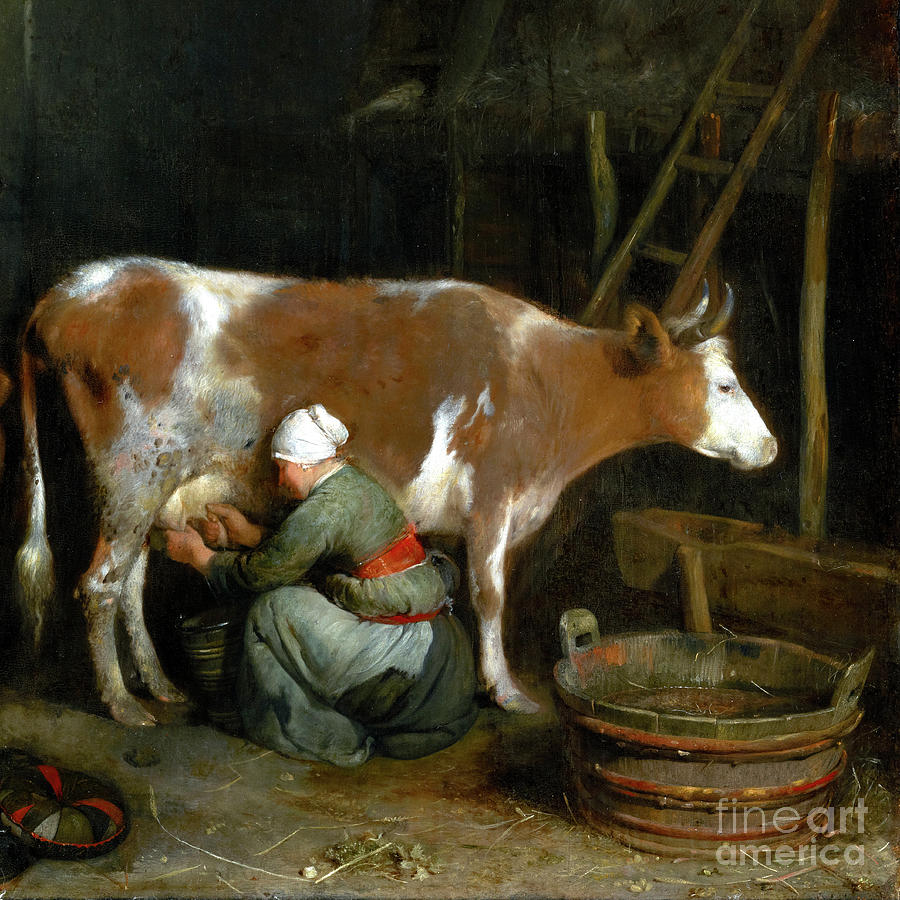 A Maid Milking a Cow in a Barn Painting by Audrey Jeanne Roberts