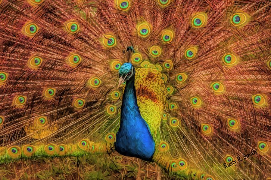 A male peacock displaying. by Rusty R Smith A male peacock displaying. by Rusty R Smith