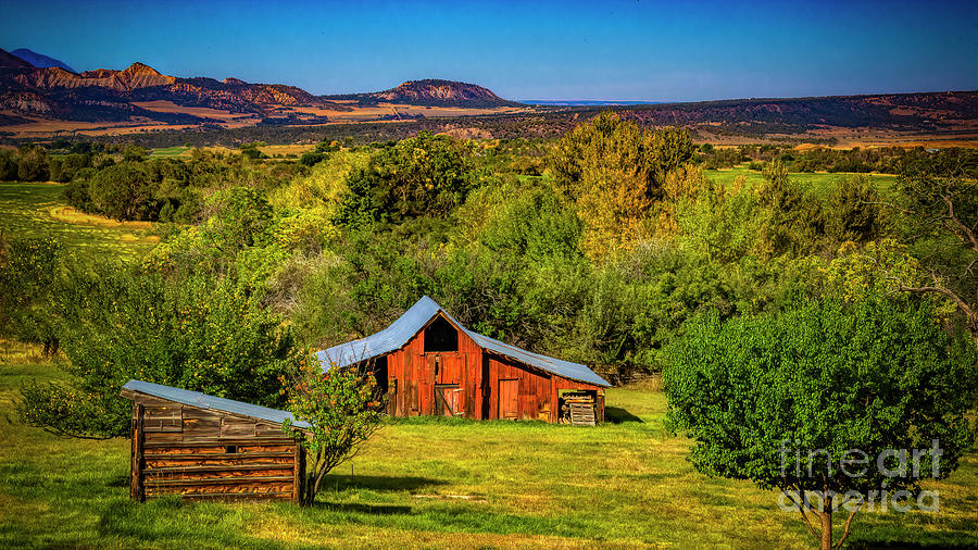 A Mancos, Colorado Landscape Photograph by Janice Pariza
