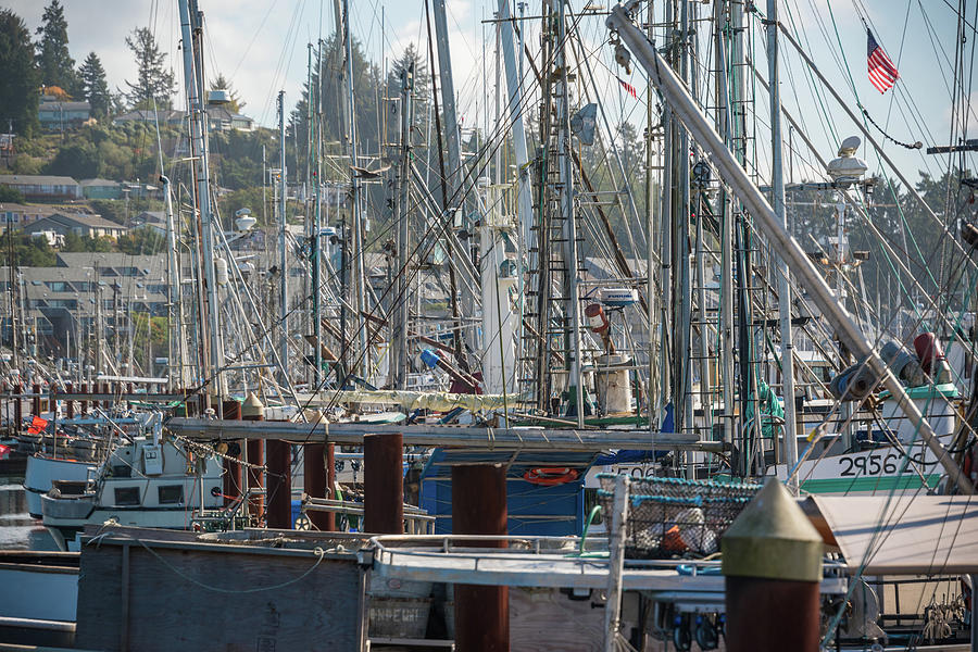 A Mass of Masts by Kristopher Schoenleber A Mass of Masts by Kristopher Schoenleber