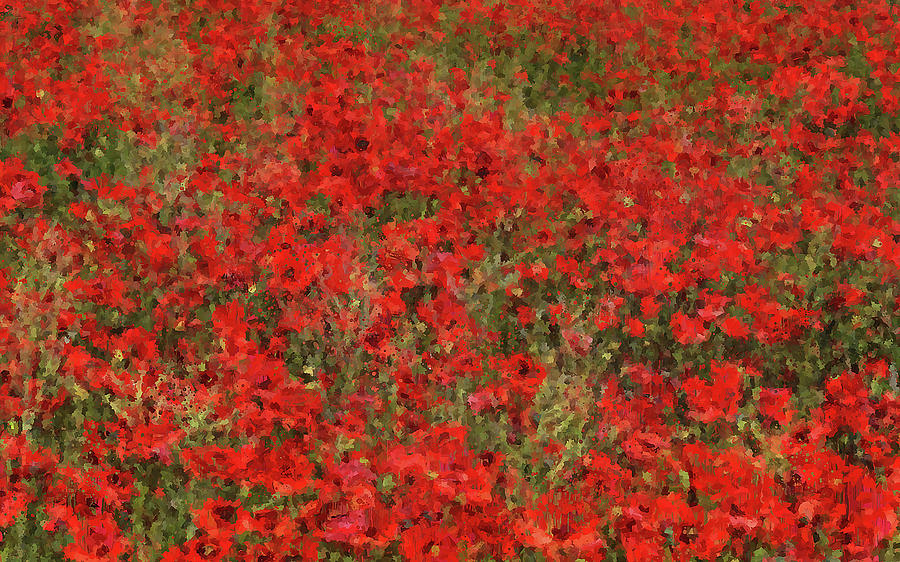 A meadow full of red flowers - 02 Painting by AM FineArtPrints