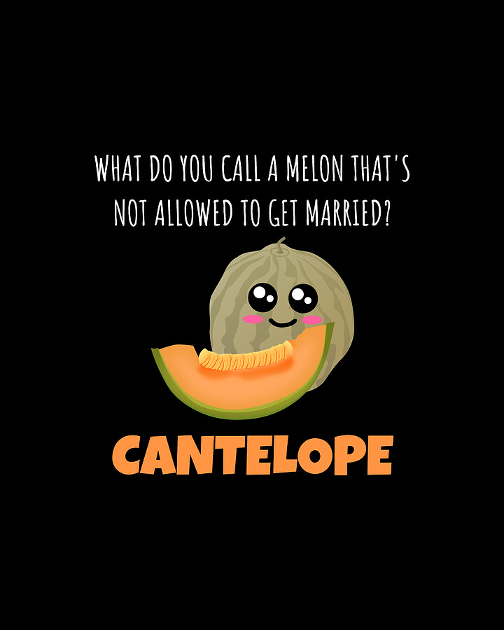 A Melon Thats Not Allowed To Get Married Funny Melon Pun Digital Art by