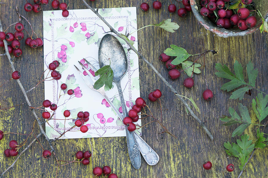 A Menu With Cutlery And A Sprig Of Hawthorn On A Rustic Wooden Table Photograph by Martina Schindler