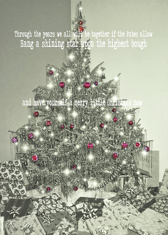 A MERRY LITTLE CHRISTMAS quote Photograph by JAMART Photography