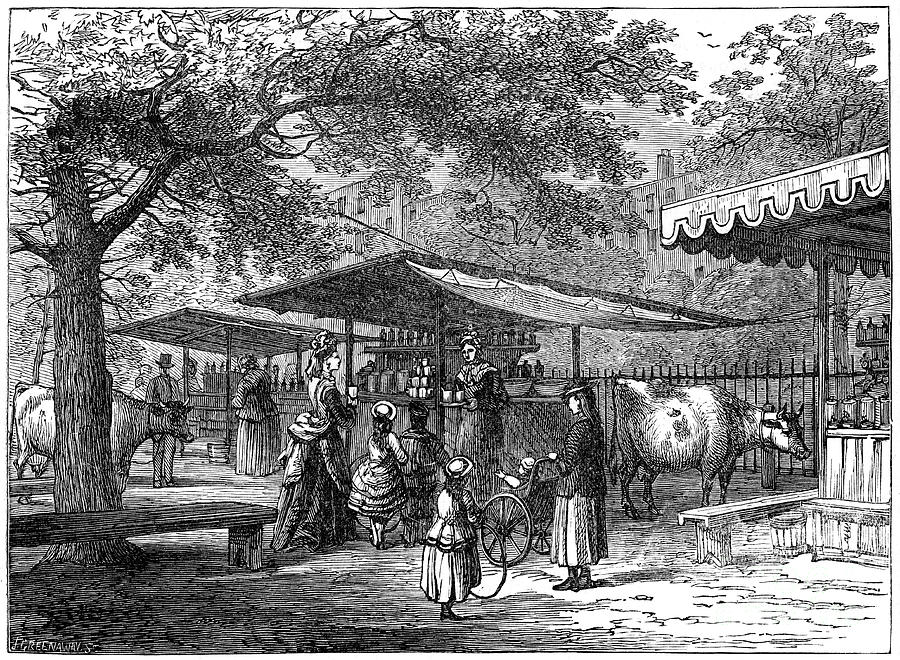 A Milk Fair, St Jamess Park, London Drawing by Print Collector