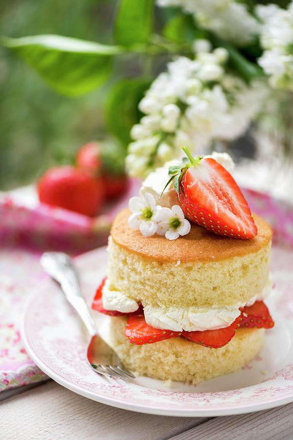 A Mini Victoria Sponge Cake With Strawberries And Cream Photograph by Winfried Heinze