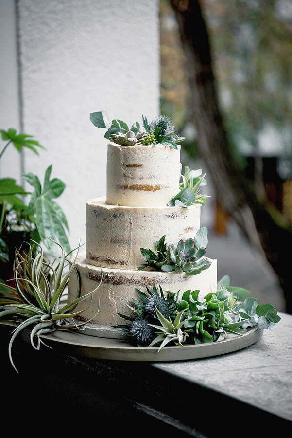 A Minimalist Wedding Cake Decorated With Succulents Photograph by Claudia Gdke
