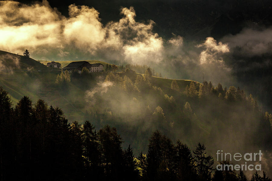A Misty Forest In The Dolomites, Italy Photograph by Ľuboš Balažovič