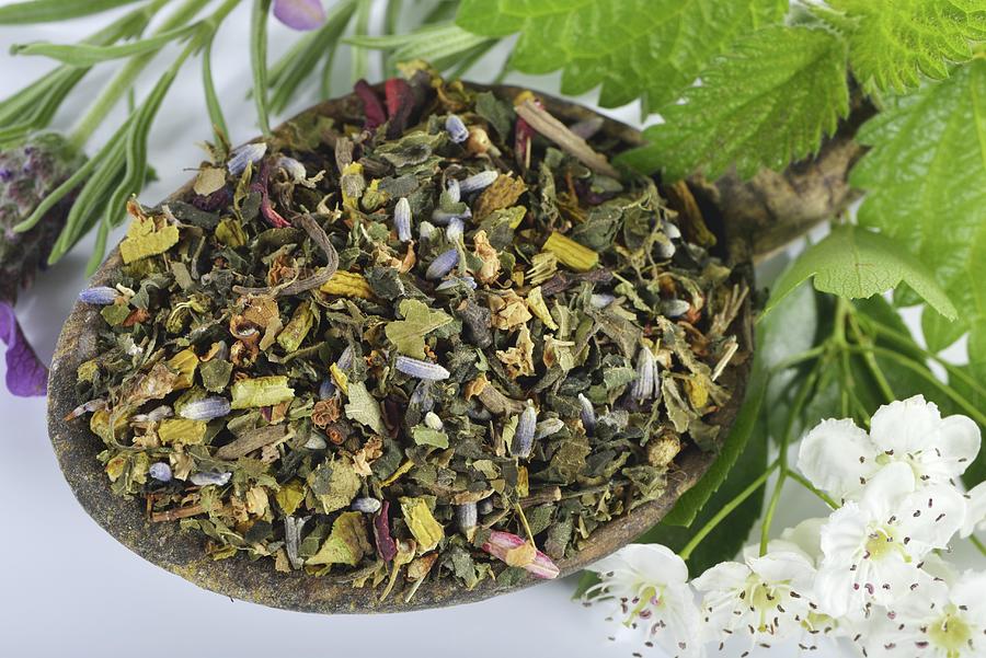 A Mix For Herbal Tea With Mistletoe, Hawthorn Leaves, Stinging Nettles, Valerian, Hibiscus Flowers And Lavender Photograph by Otmar Diez