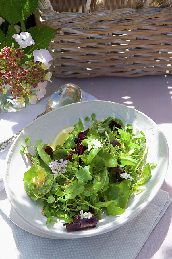 A Mixed Leaf Salad With A Mustard Dressing And Elderflowers For A Picnic Photograph by Winfried Heinze