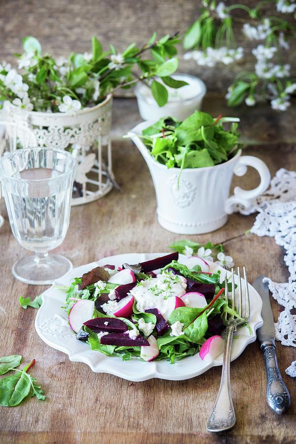 A Mixed Leaf Salad With Beetroot And Radishes Photograph by Irina Meliukh