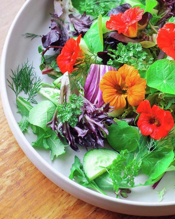 A Mixed Leaf Salad With Cucumber, Herbs And Nasturtium Flowers Photograph by Erin Brooks