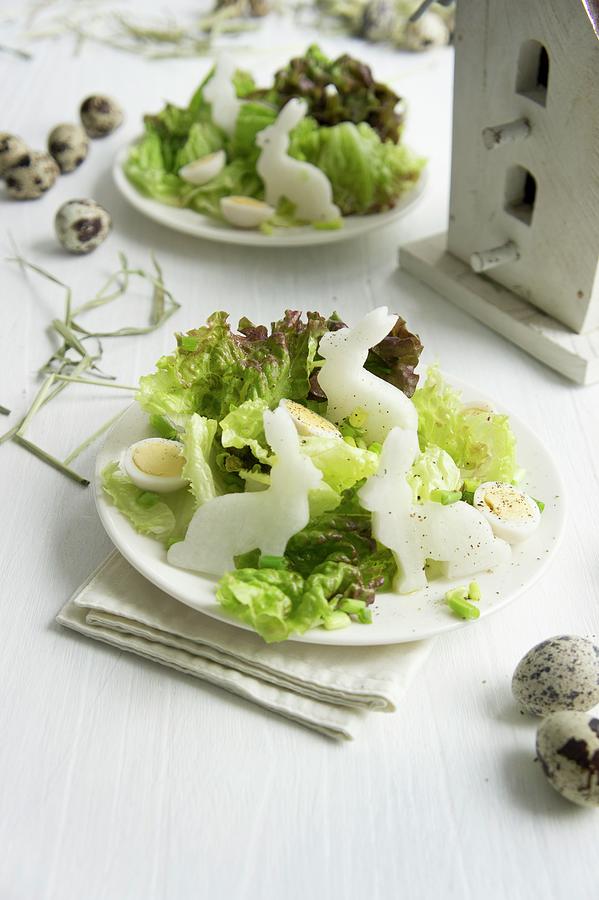 A Mixed Leaf Salad With Rabbit-shaped Radishes And Quails Eggs Photograph by Martina Schindler
