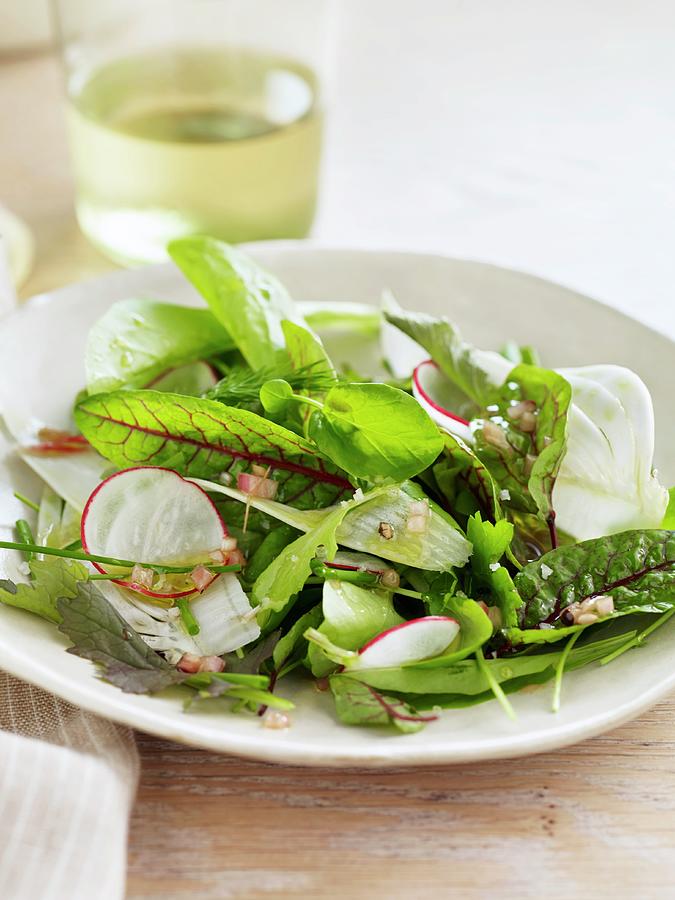 A Mixed Leaf Salad With Radishes Photograph by Jim Franco Photography ...