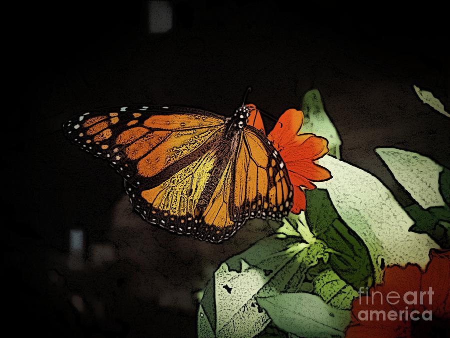 A Monarch In The Garden Photograph By Gina Matarazzo - Fine Art America