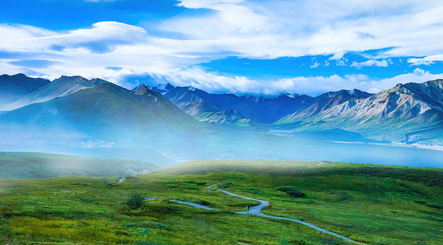 Nature Photograph - A Morning At Denali National Park by Mike He