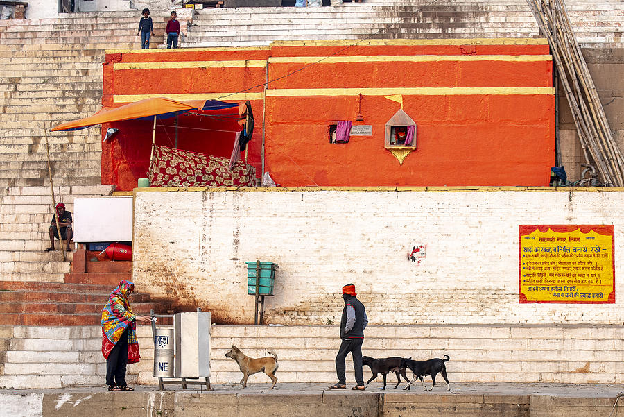 Dog Photograph - A Morning At Varanasi Ghat 2 by Balasubramanian Gv