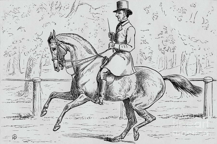 A Morning Canter In The Park Drawing by Print Collector