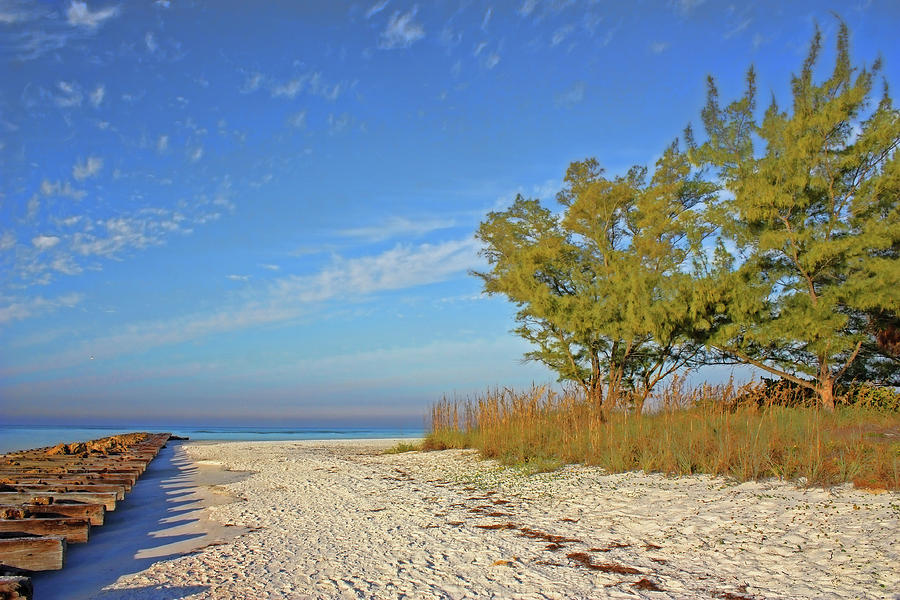A Morning Walk On The Beach Photograph by HH Photography of Florida