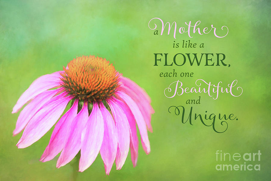 A Mother is Lke a Flower by Anita Pollak A Mother is Lke a Flower by Anita Pollak