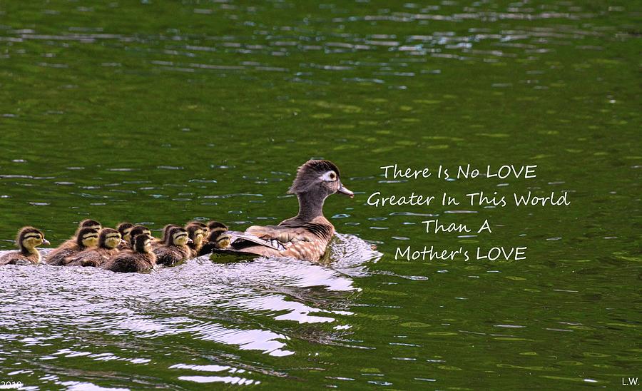 A Mothers Love Photograph by Lisa Wooten