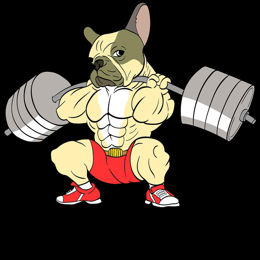 A Motivation Tee For You Illustration Of A Dog Lifting Weights Tshirt ...