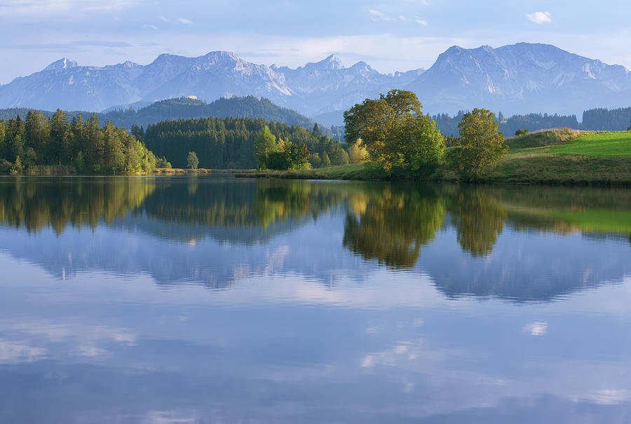 A Mountainous Forest Reflecting In A Photograph by Mvh