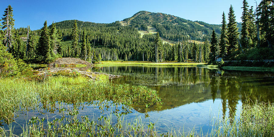 A Mt. Washington Summer by Claude Dalley A Mt. Washington Summer by Claude Dalley