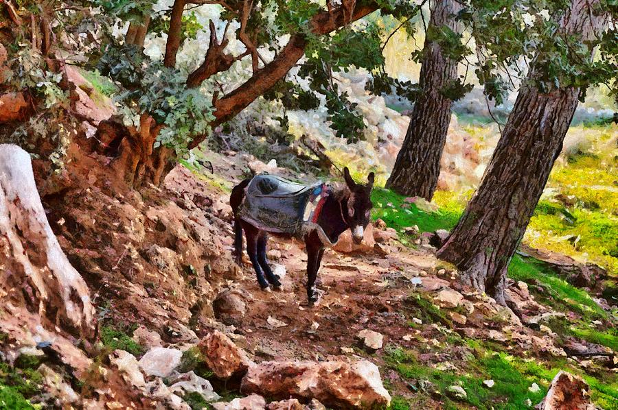A mule stands on the edge of a mountain village in Morocco Digital Art by Gina Koch