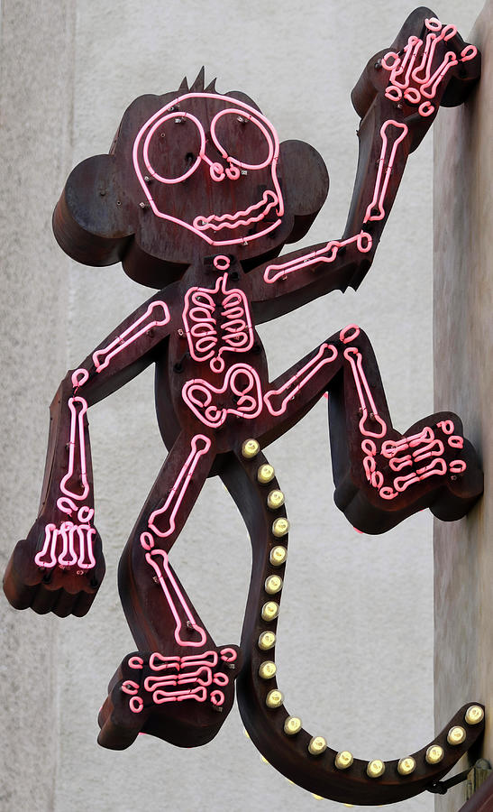 A Neon Climbing Monkey Skeleton Sign, Fremont East District, Las Photograph