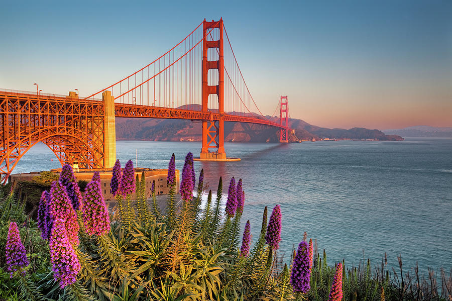 A New Day Begins In San Francisco Photograph by Sean Duan